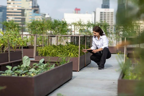 Get the Most from Your Urban Gardening with Corten Steel Raised Beds - Plantercraft