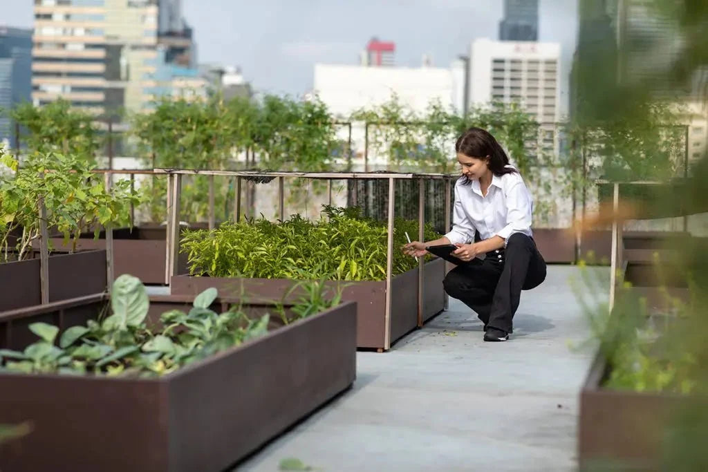 Get the Most from Your Urban Gardening with Corten Steel Raised Beds - Plantercraft