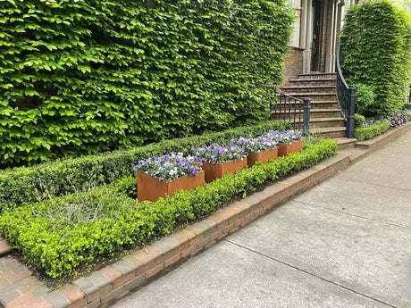Improve Your Styling Game with Decorative Metal Planters - Plantercraft