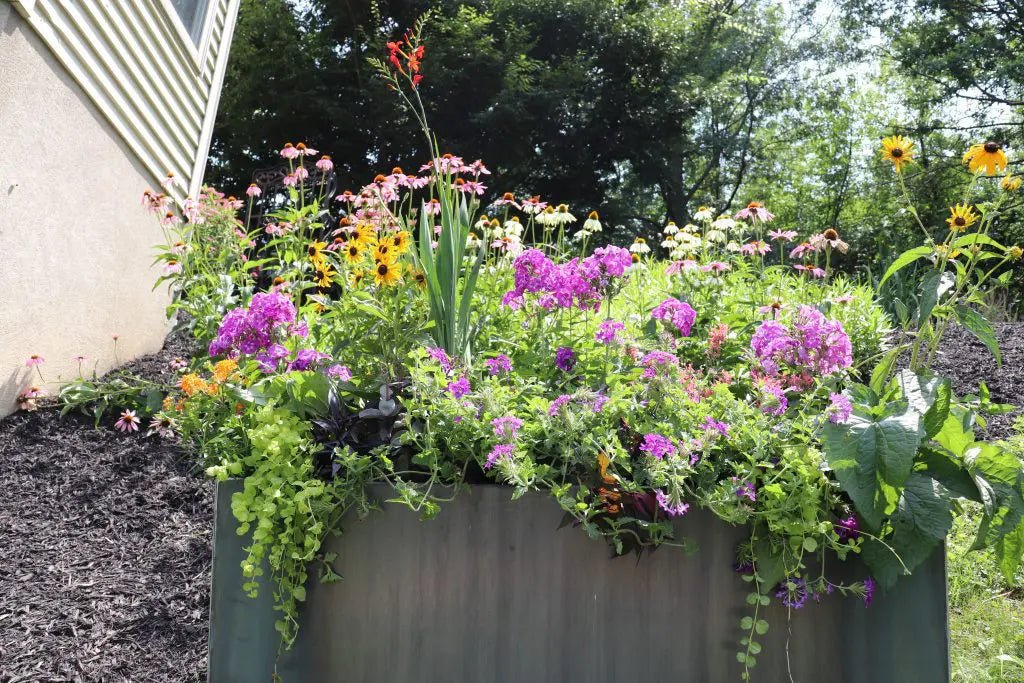 A Comprehensive FAQ Guide to Modern Corten Steel Planters - Plantercraft