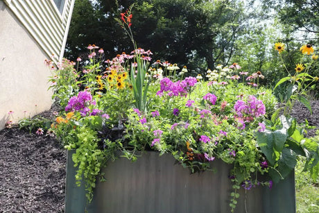 A Comprehensive FAQ Guide to Modern Corten Steel Planters - Plantercraft