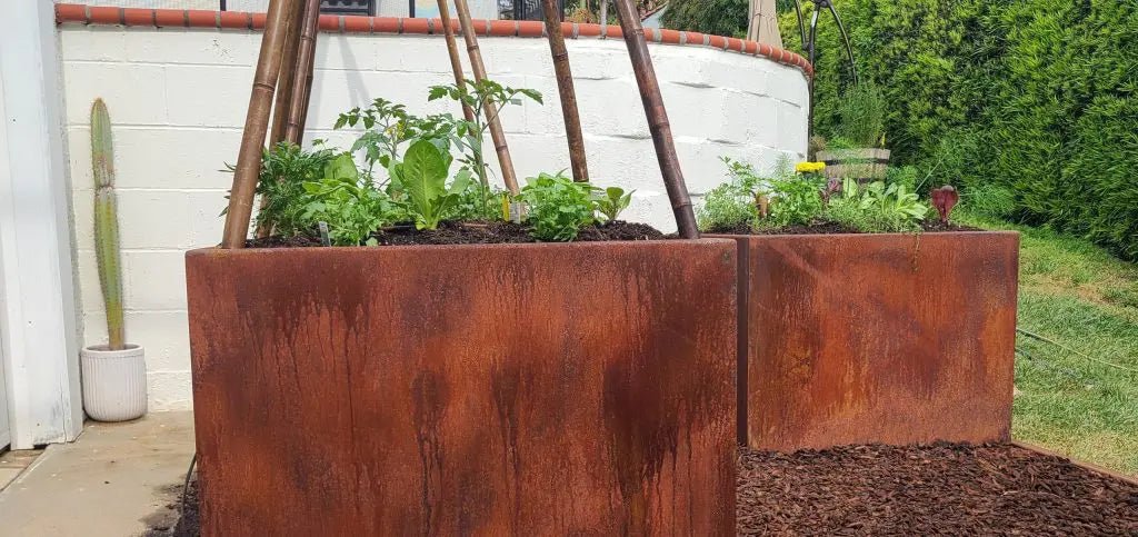 Create a Lush Paradise: Best Plants for Your Corten Raised Garden Beds - Plantercraft
