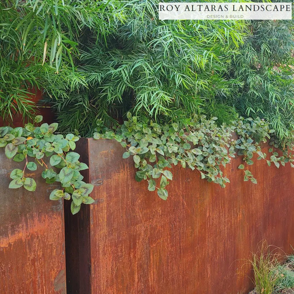 What Is Corten Steel, and What Is the Benefit of Using This Metal for Planters? - Plantercraft