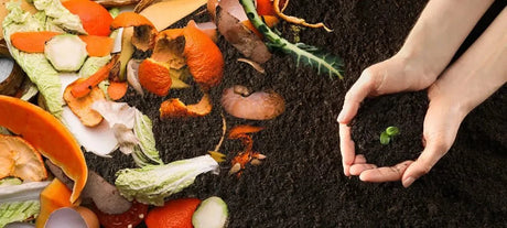 Create a Future You Can Be Proud of with Sustainable Gardening - Plantercraft