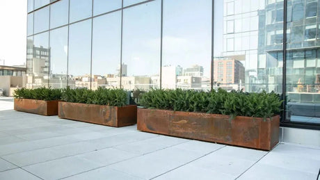 Deep, Large, and Wide: How These Corten Steel Planters Can Transform Your Space - Plantercraft