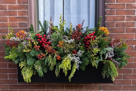 Festive Inspiration for Your Balcony and Window Planters - Plantercraft