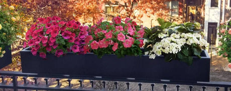 Unleash Vibrant Greenery: The Impact of Outdoor Planter Material on Plant Hydration - Plantercraft
