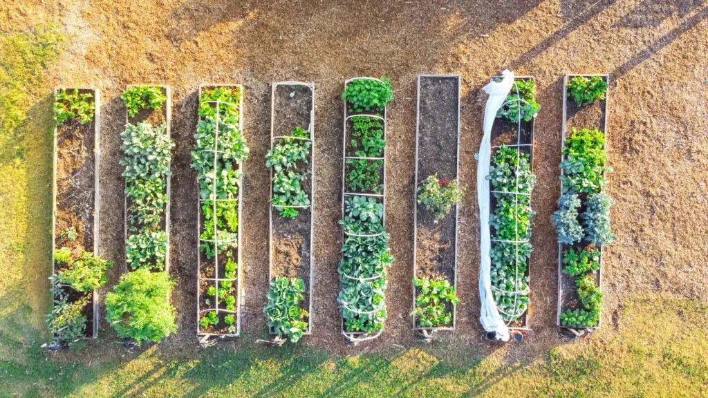 Elevate Your Gardening Game with DIY Aluminum Raised Garden Beds - Plantercraft