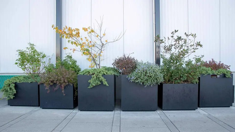 How to Arrange Your Aesthetic Planters Like a Pro - Plantercraft