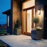 The Welcome Pair – Classic Aluminum Cube Planters (Set of 2)