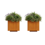 The Welcome Pair – Classic Corten Steel Cube Planters (Set of 2)