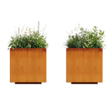 The Welcome Pair – Classic Corten Steel Cube Planters (Set of 2)