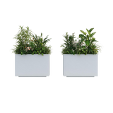 The Welcome Pair – Classic Aluminum Rectangular Planters (Set of 2)