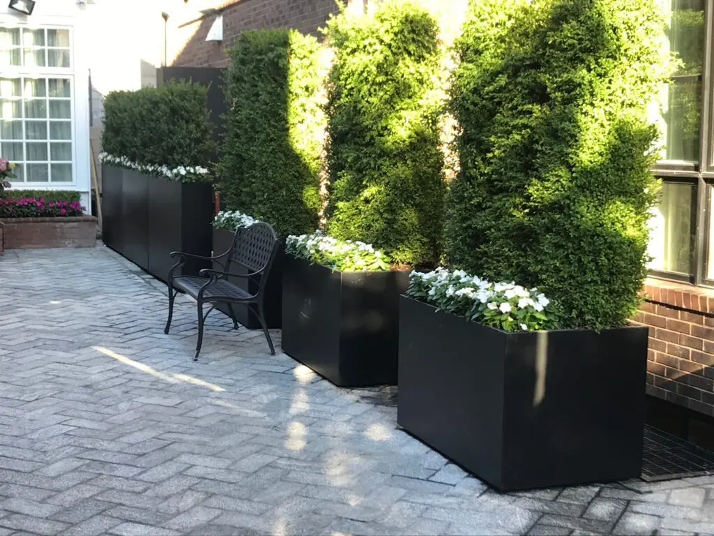 black metal planters in a row