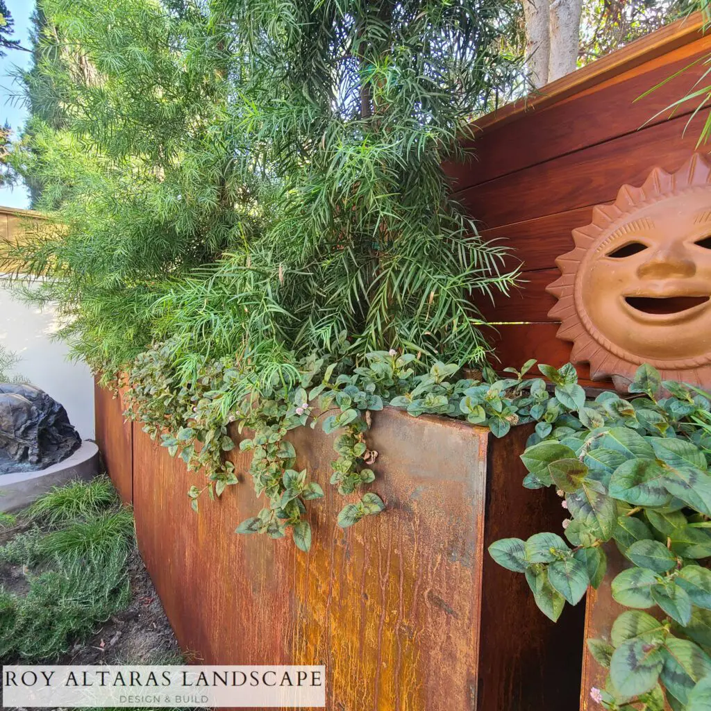 Corten Steel planters with green plants along a garden wall.
