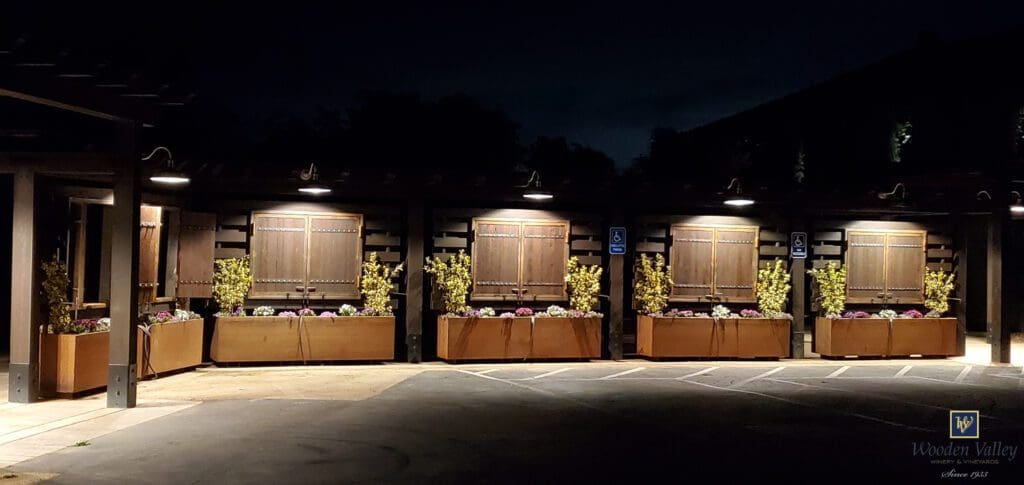 corten steel planters at night
