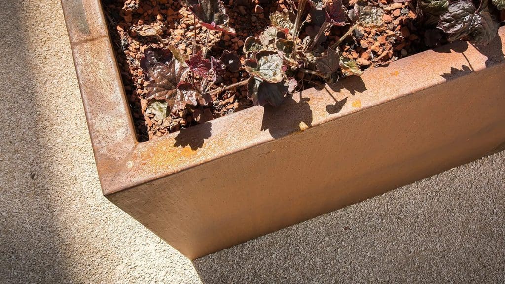 a rusted Corten steel planter with interesting plants in it